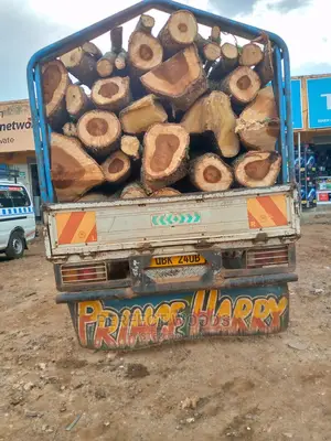 Firewood for Sell