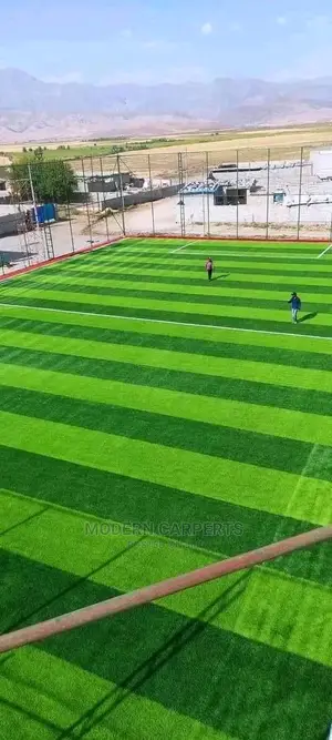 Artifical Turf