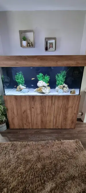 A Unique Aquarium With the Best Setup