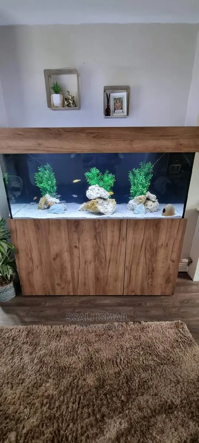 A Unique Aquarium With the Best Setup