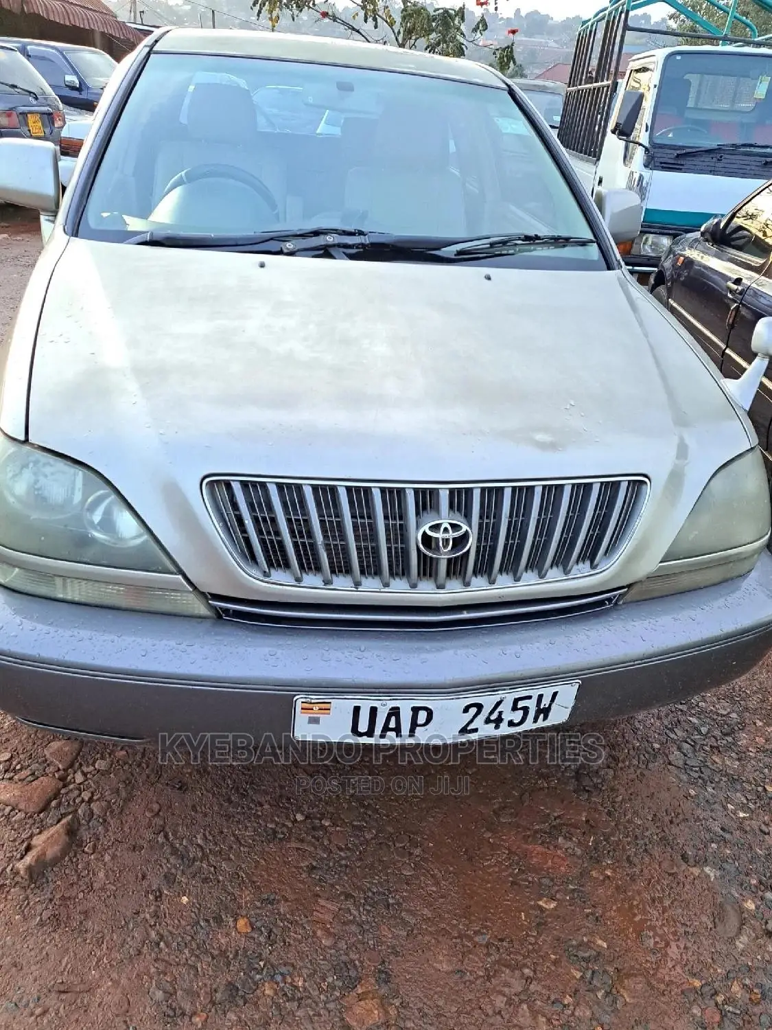 Toyota Harrier 3.0 V6 1999 Gold