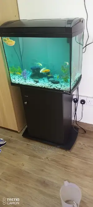 Best Aquarium on a Durable Stand