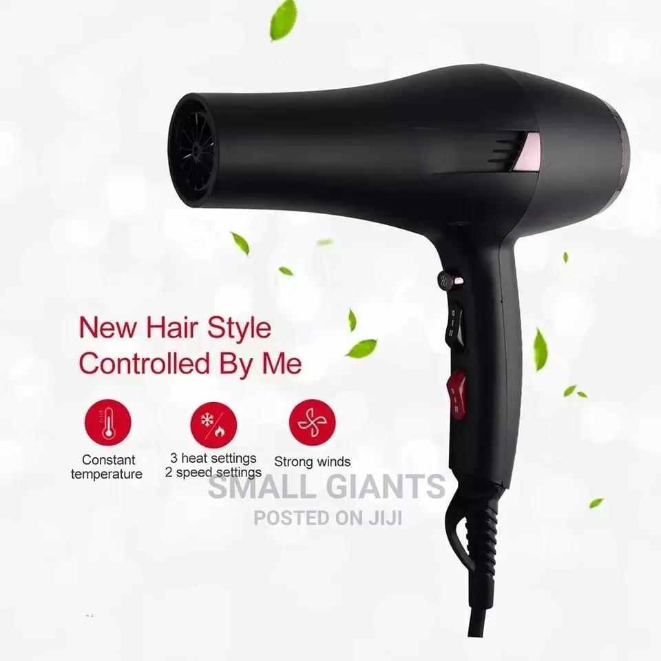 Hand Hair Dryer