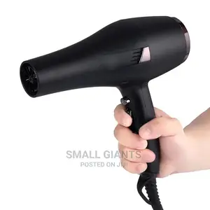 Hand Hair Dryer