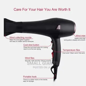 Hand Hair Dryer