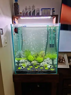 Simple and Precise Aquarium