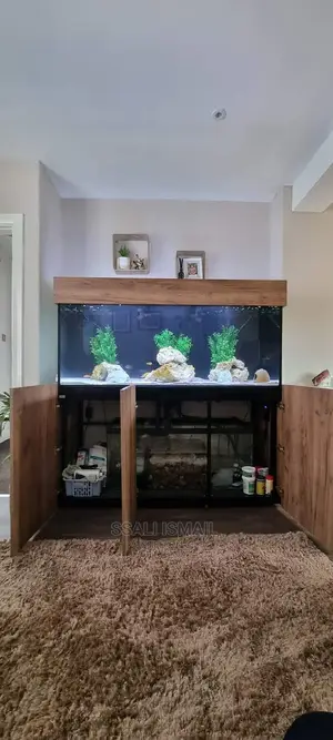 Exellently Made by Aquarium Proffession