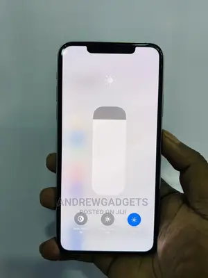 Apple iPhone 11 Pro Max 256 GB Silver