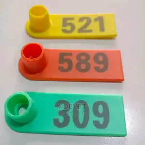 Personalised Ear Tags