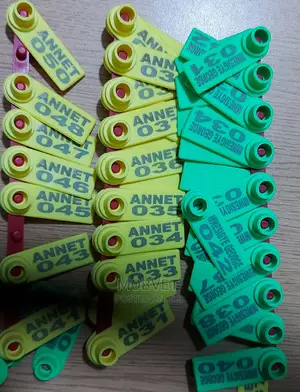 Personalised Ear Tags