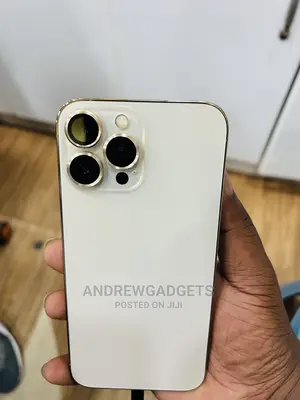 Apple iPhone 13 Pro Max 1 TB Gold