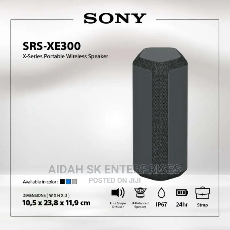 Sony EX300