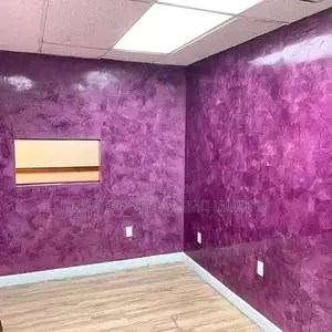 Painting and Ceiling Project 888