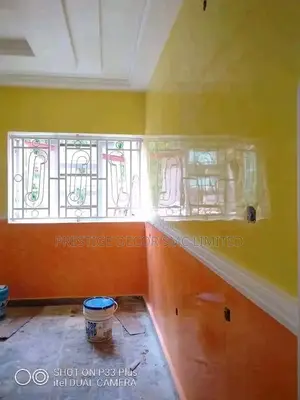 Painting Project 00888