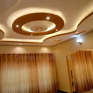 Ceiling Project Dd8