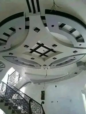 Ceiling Project Ee5