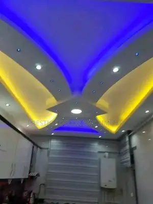 Ceiling Project Ee6