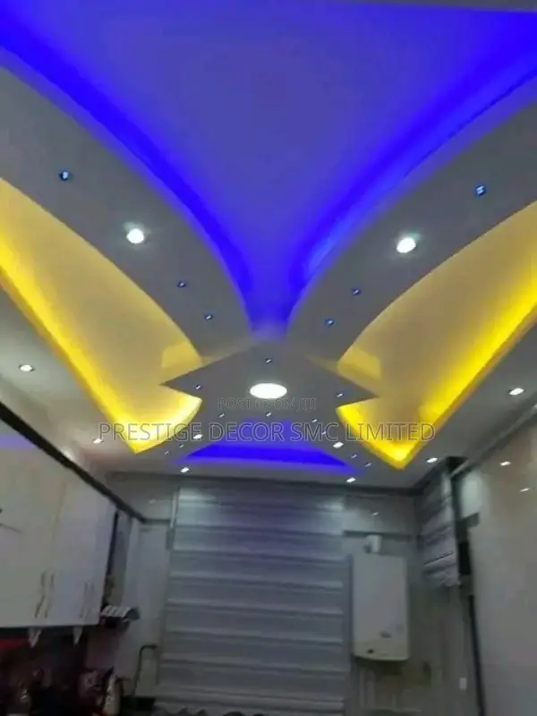 Ceiling Project Ee6