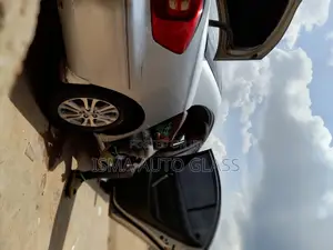 Car Head Lights and Back Lights