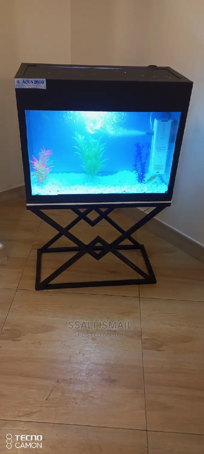Best Aquarium on a Mettalic Stand