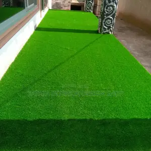 Grass Carpet/Grass Carpet/Grass Carpet