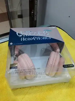 Dinosaur Wireless Headphones