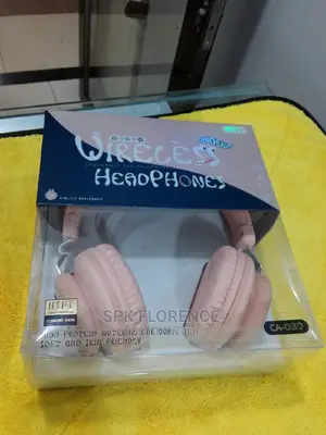 Dinosaur Wireless Headphones