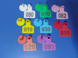 Permanent Marked Triangle Tags for Goats and Pigs and Sheep