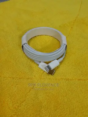 Type- C To iPhone Cable