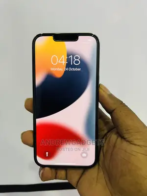 Apple iPhone 13 Pro 1 TB Gray