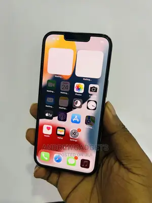 Apple iPhone 13 Pro 1 TB Gray