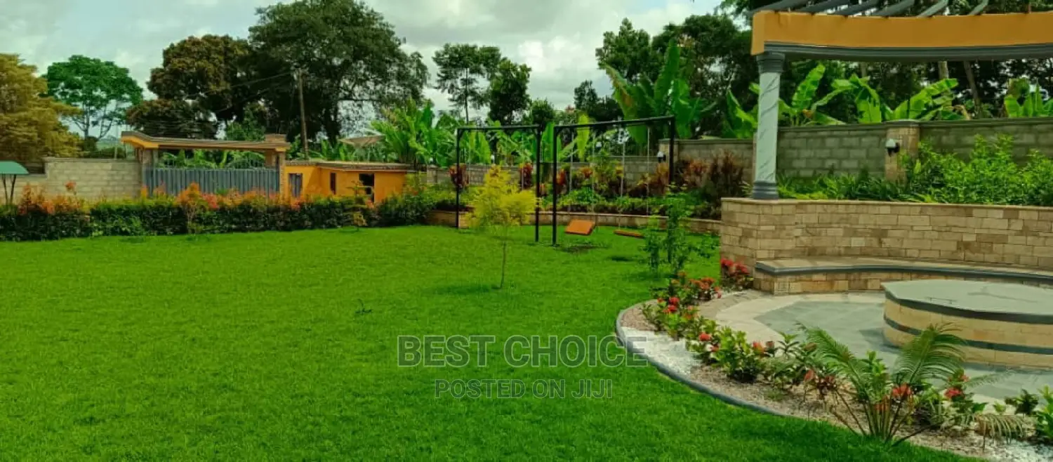 Modern Compound and Land Scaping Services.