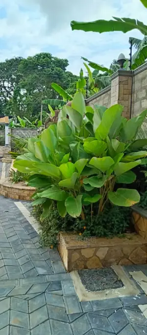 Modern Compound and Land Scaping Services.