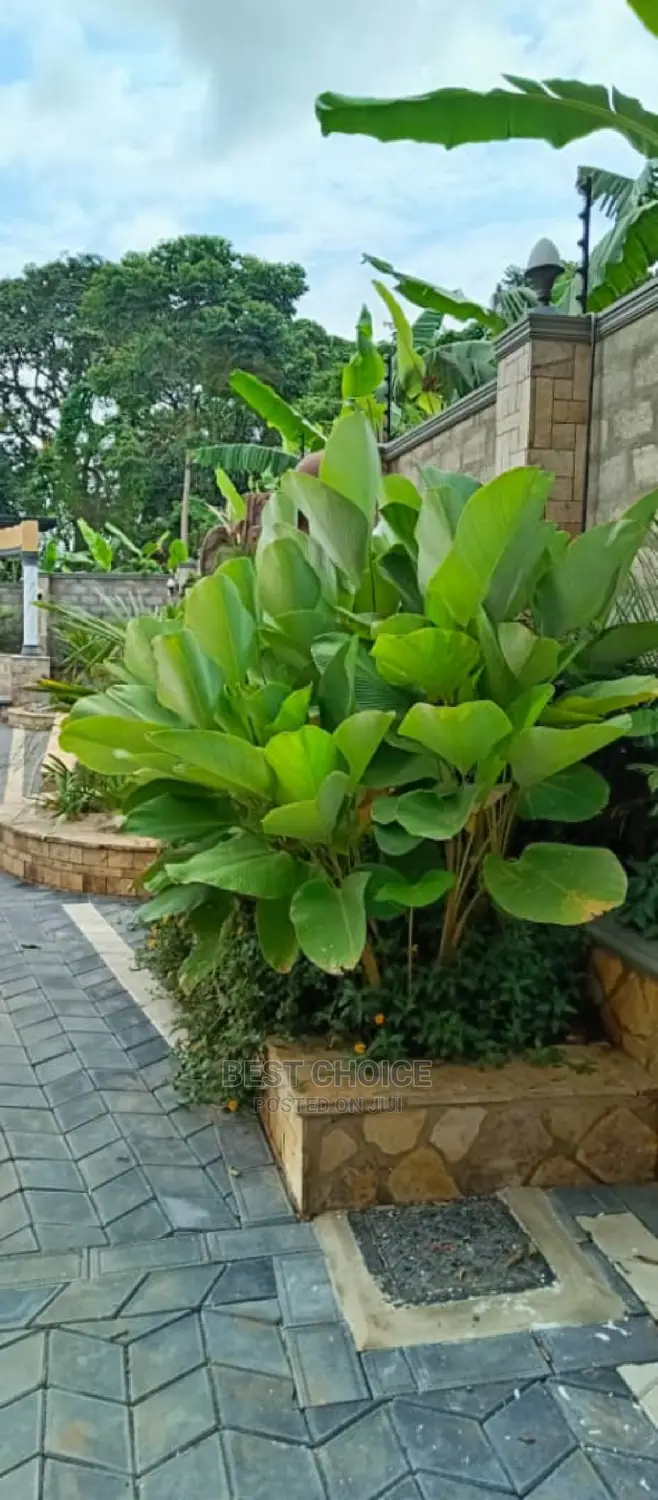 Modern Compound and Land Scaping Services.