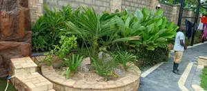 Modern Compound and Land Scaping Services.