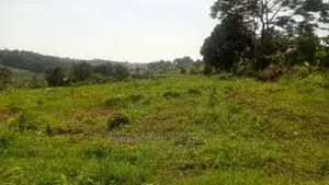 Quick Sale of Quality Land and Plots