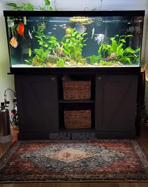 A Black Aquarium With Nice Interia