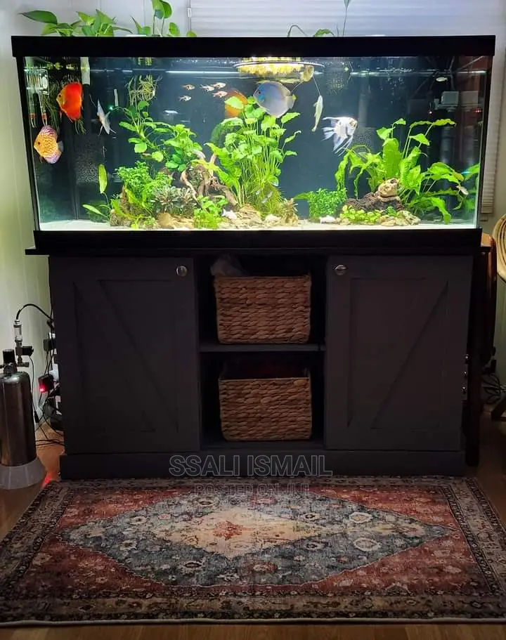 A Black Aquarium With Nice Interia