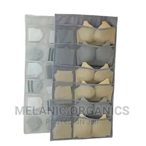 Double Side Bra Organiser