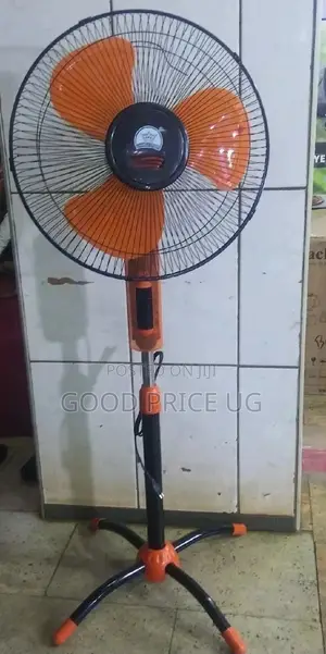 Changli Crown Stand Fan