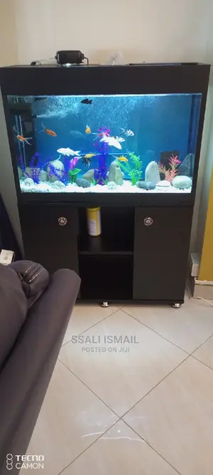 Crystal Clear Aquarium Black Colour