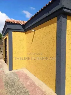 Wall Exterior Painting.