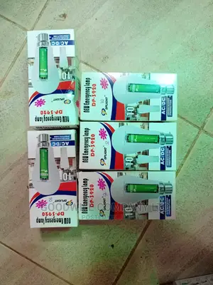 10w Rechargeable Bulbs