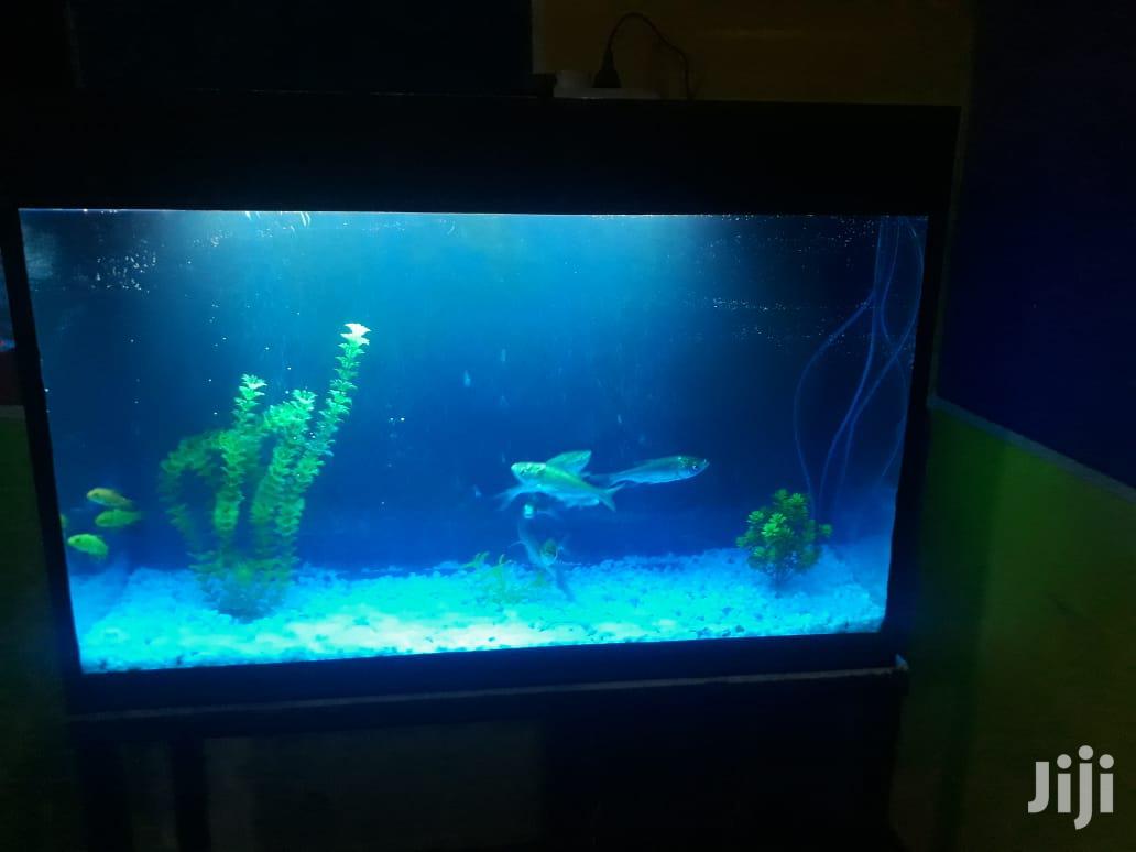 Aquarium