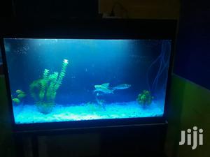 Aquarium