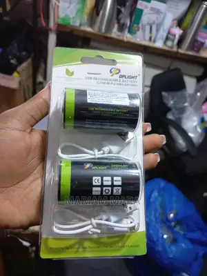 USB Rechargeable Batteries Size D
