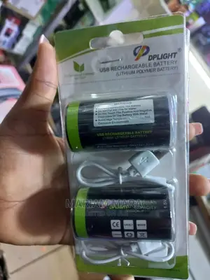 USB Rechargeable Batteries Size D