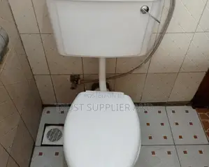Plumbing Toilet