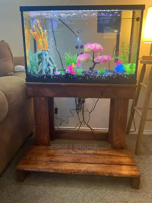 Anice Plain Aquarium With Selective Plants and Gravel