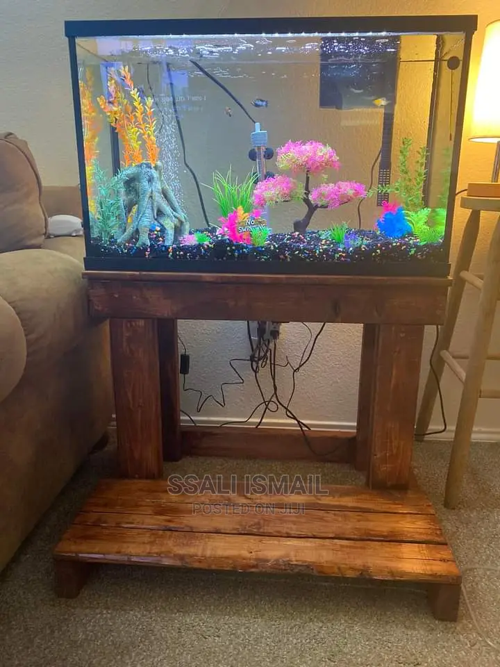 Anice Plain Aquarium With Selective Plants and Gravel